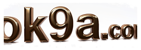 ok9aa.com logo